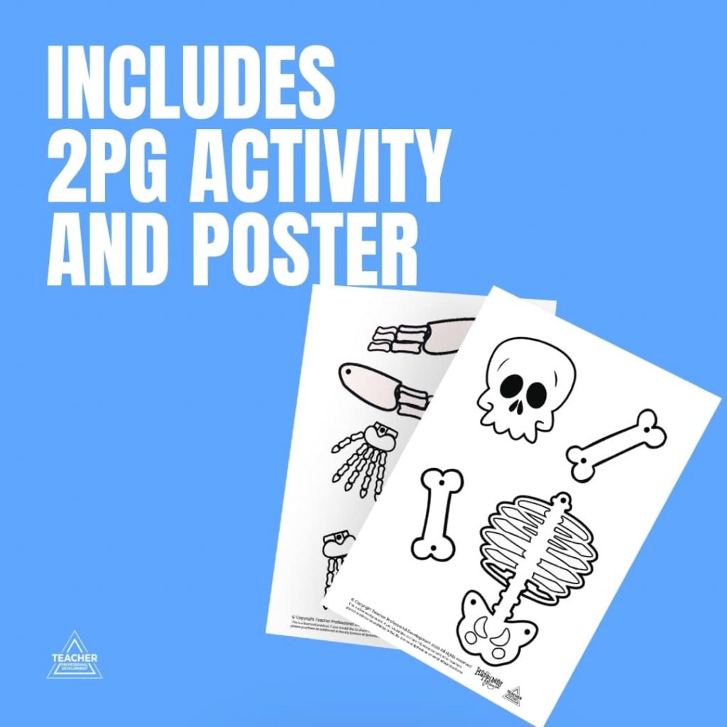 Bones of the Human Body Activity - Teacher Professional Development