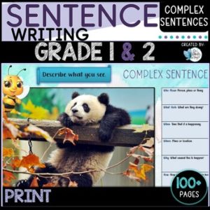 Sentence Writing