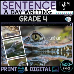 Sentence Writing Grade 4