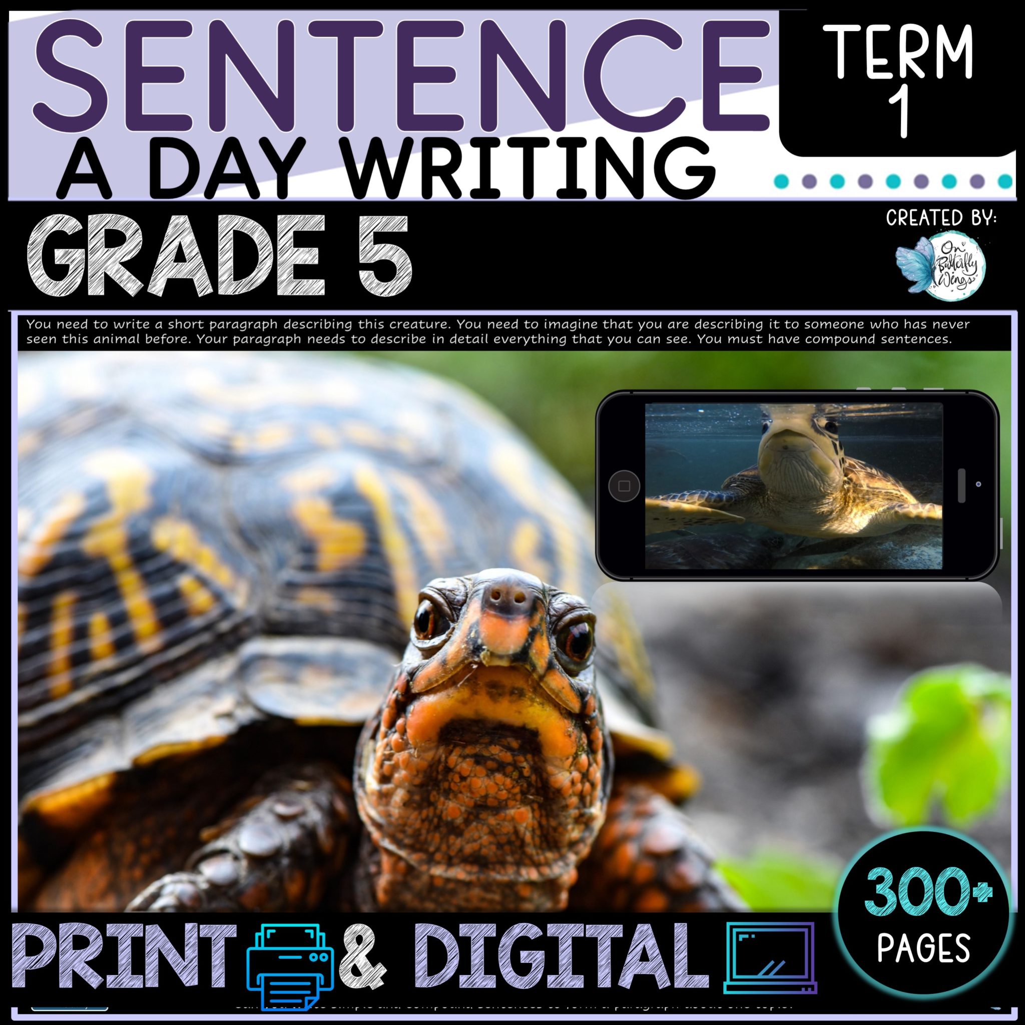 Tpd Worksheet Sentence Writing Grade 5 Term 1 - Teacher Resource