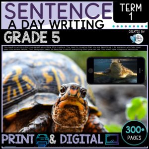 Sentence Writing Grade 5 Term 1