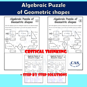 Algebraic Puzzle of Geometric Shapes-Critical Thinking