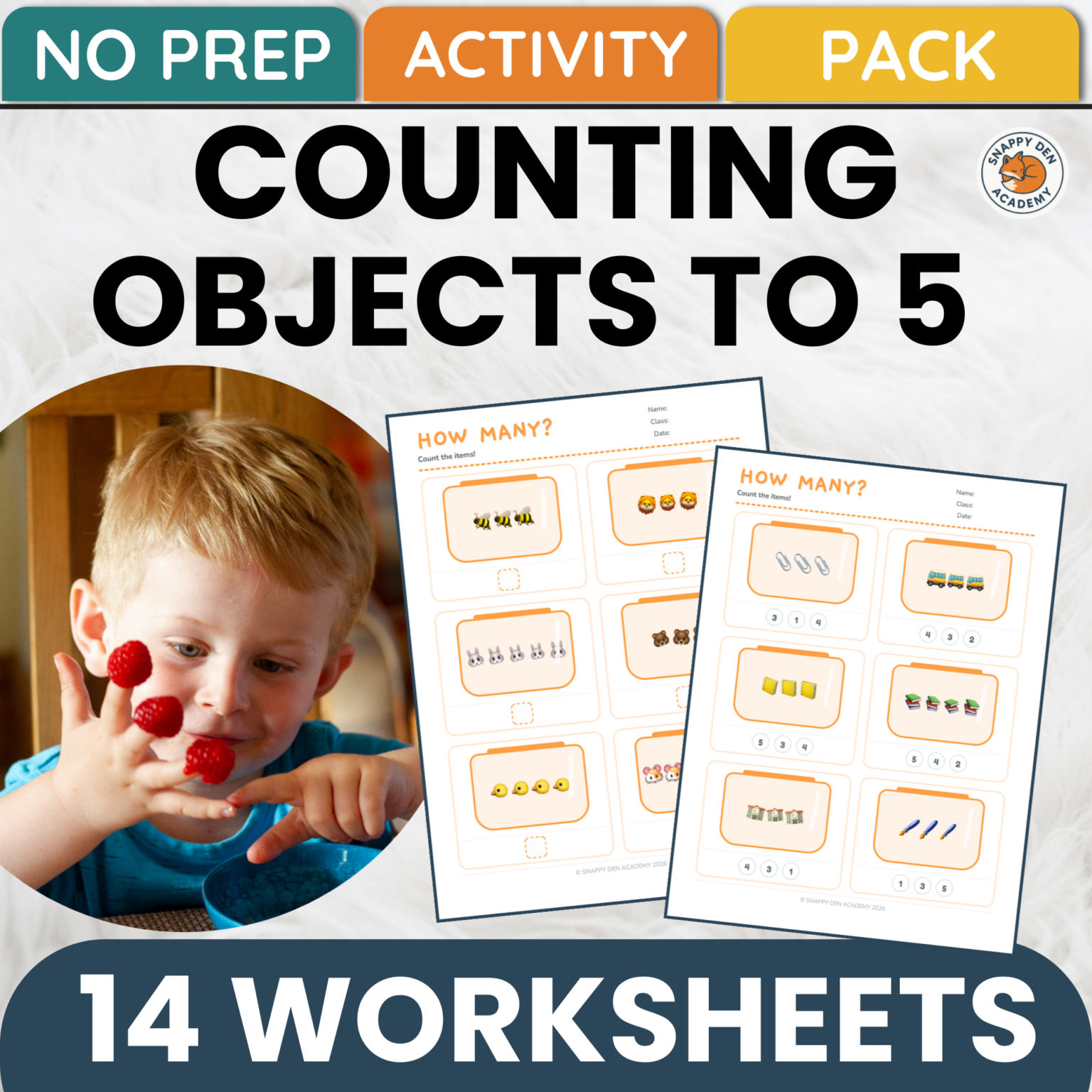 Math Number Morning Work Counting Objects to 5 How Many Worksheets - Number Recognition Math ...
